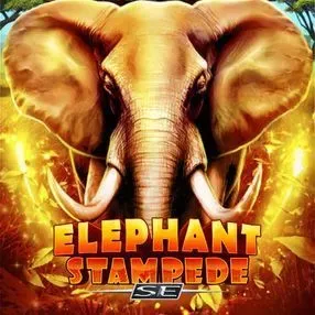 elephant stampede