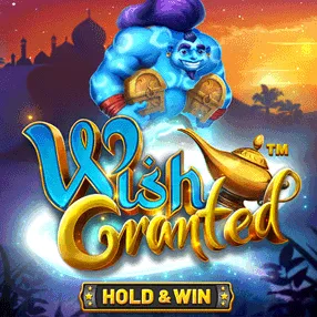 wish granded